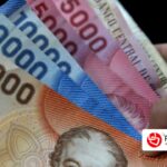 Gratificación por Art. 50° Código del Trabajo: Cálculo Detallado y Ejemplo