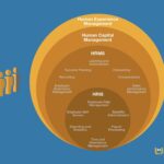 HRIS en 2024: Guía Completa para Gestionar Talento