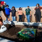 La Importancia de la Comunidad: Por qué las Soluciones Colectivas Ayudan