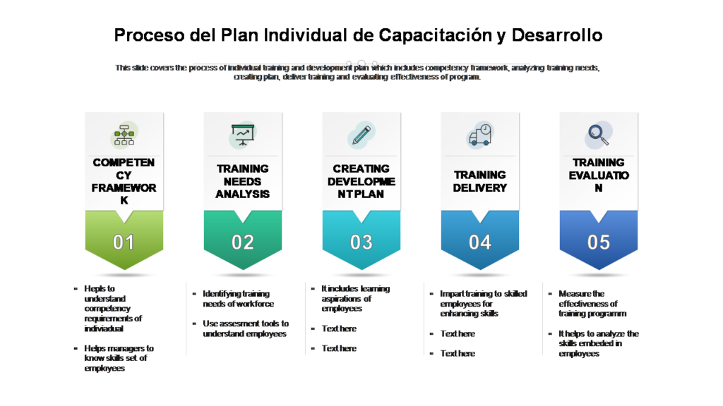 Plan de Desarrollo Individual: Guía Completa con Ejemplos