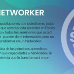 Plan de Networking: 7 Pasos para Conectar y Triunfar