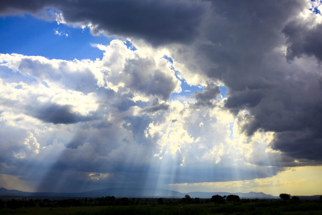 Relaciones de Poder en la Oficina: Descifrando los Juegos y Protegiéndote