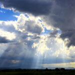 Relaciones de Poder en la Oficina: Descifrando los Juegos y Protegiéndote